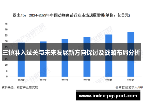 三镇准入过关与未来发展新方向探讨及战略布局分析