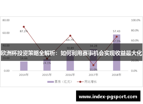 欧洲杯投资策略全解析：如何利用赛事机会实现收益最大化